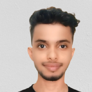 Harsh Srivastav Class I-V Tuition trainer in Lucknow