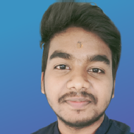 Dibyanshu Kumar Mohanta Class 12 Tuition trainer in Baripada