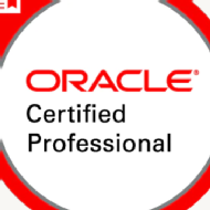 Tech hub bathinda Hyperion Oracle institute in Delhi
