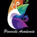 Pinnacle academia photo