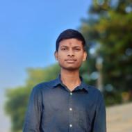 Ritesh Kumar Class I-V Tuition trainer in Bidupur