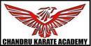 Photo of Chandru Karate Academy