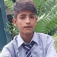 Shahijahan BTech Tuition trainer in Damhal Hanji Pora