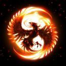 Fenex Training Academy Foreign Language institute in Bangalore