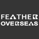 Feather Overseas Exam Coaching institute in Khanna