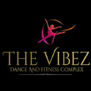 The Vibez Dance & Fitness Complex Aerobics institute in Faridabad