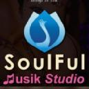 Soulful Musik Academy Carnatic Music Classes institute in Mumbai