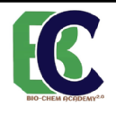 Sanjay Institute photo