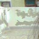 Photo of Ritika N.