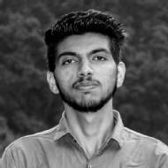Rituraj Class 12 Tuition trainer in Chandigarh