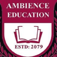 Ambience Education  Class 12 Tuition institute in Lalitpur