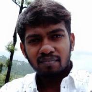 Tamil Arasan Veena trainer in Hosur