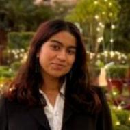 Krita Class 12 Tuition trainer in Delhi