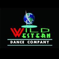 Wild Western Dance Company Health and Fitness institute in Lucknow