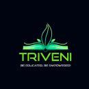 Photo of Triveni Group of Institutions
