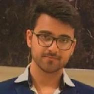 Harsh Kumar Thakur Class 11 Tuition trainer in Delhi