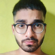 Snehasish Sivam Class I-V Tuition trainer in Delhi