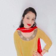 Harsh B. Class 12 Tuition trainer in Noida