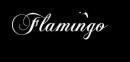 Photo of Flamingo Interiors Pvt Ltd