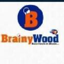 Brainywood Brain Science photo
