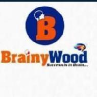 Brainywood Brain Science Memory Techniques institute in Noida