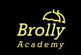 Brolly Academy Digital Marketing institute in Hyderabad