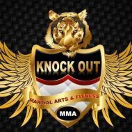 Karate, Mixed martial arts MMA, kickboxing Classes  Boxing institute in Delhi