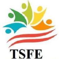 TSFE Institute of Excellence OPC Pvt Ltd Class 10 institute in Noida