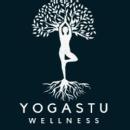 Yogastu Wellness Yoga Meditation Classes institute in Mohali