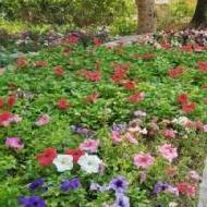 Easha Class 10 trainer in Delhi