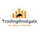 Trading Analyst photo