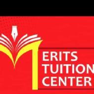 Merits Tuition Center Class 10 institute in Kakinada