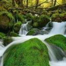 Abhishek Dhwan Data Modeling trainer in Delhi