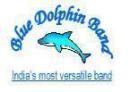 Photo of BLUE DOLPHIN BANDS