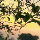 Pooja Choudhary picture