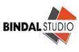 Bindal Studio institute in Gurgaon