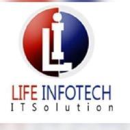 Life Infotech Class 12 Tuition institute in Lucknow