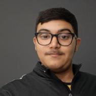 Riansh Tangri Class I-V Tuition trainer in Delhi