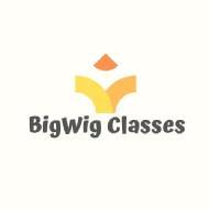 BigWig Classes Class I-V Tuition institute in Gurgaon