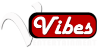 Vibes Entertainment institute in Delhi