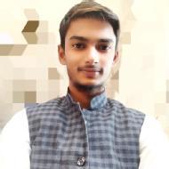 Zeeshan Ali Class I-V Tuition trainer in Delhi