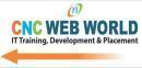 Photo of CNC Web World(Computer Institute)