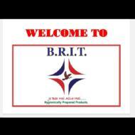 BRIT Institute Spoken English institute in Mohali