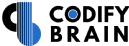Codify Brain Internet & Digital Media institute in Noida