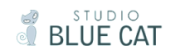 Studio blue cat institute in Delhi