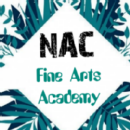 NAC Fine Arts Academy photo