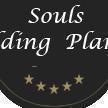 Souls Wedding Planner institute in Gurgaon