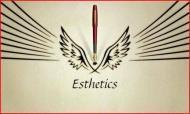 Esthetics Interior institute in Delhi