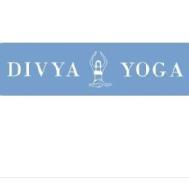 Divya Yoga and Therapeutic Yoga institute in Chandigarh