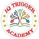Iq Trigger Academy photo